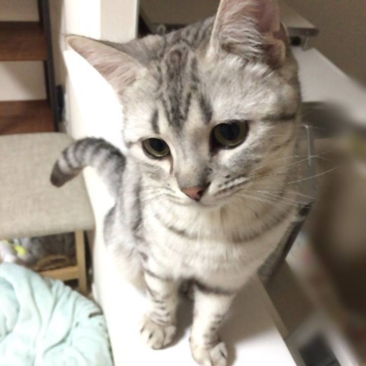 43bd692f 3fb7 49be afdd 30c564d0770d