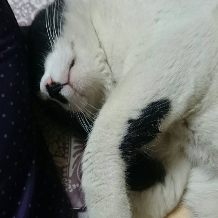 43be2784 476b 46a6 ace2 6a944e003458