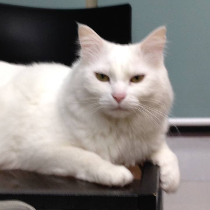 43be6776 9b49 4a9a 9682 c393867a47a3