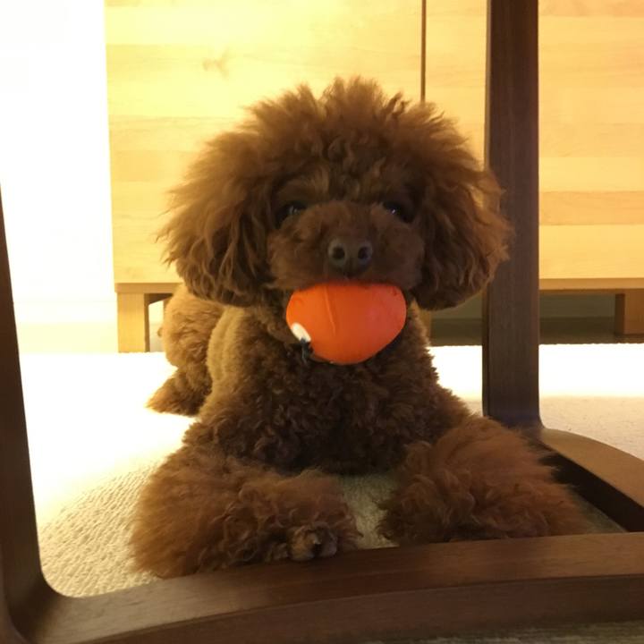 43becbe6 83dd 463a a33d 6e3844f03374