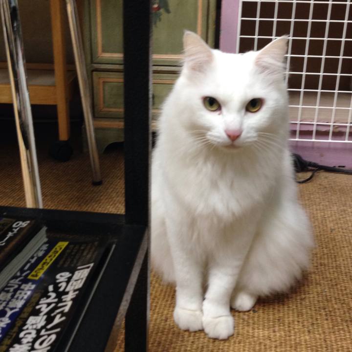 43bf5783 040f 4065 b4b2 0ecbe4afdc7c