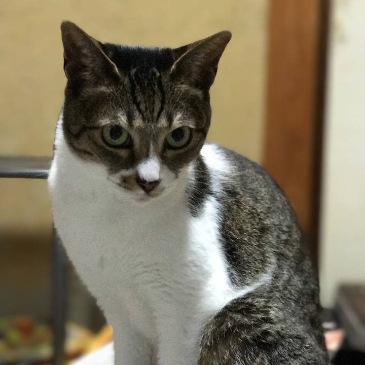 43bf7434 e26d 4ecd b5f0 87c3d3844147