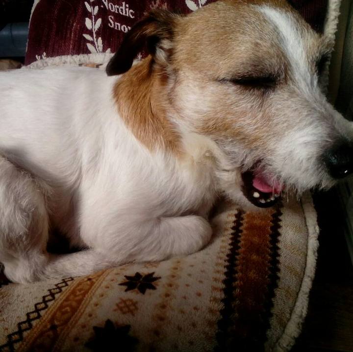 43bf8631 2175 4d52 8674 5c180d47d314