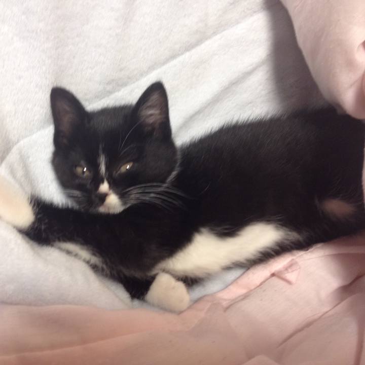 43c02cf1 bb35 4736 8fd9 4e2df1e7ad4d