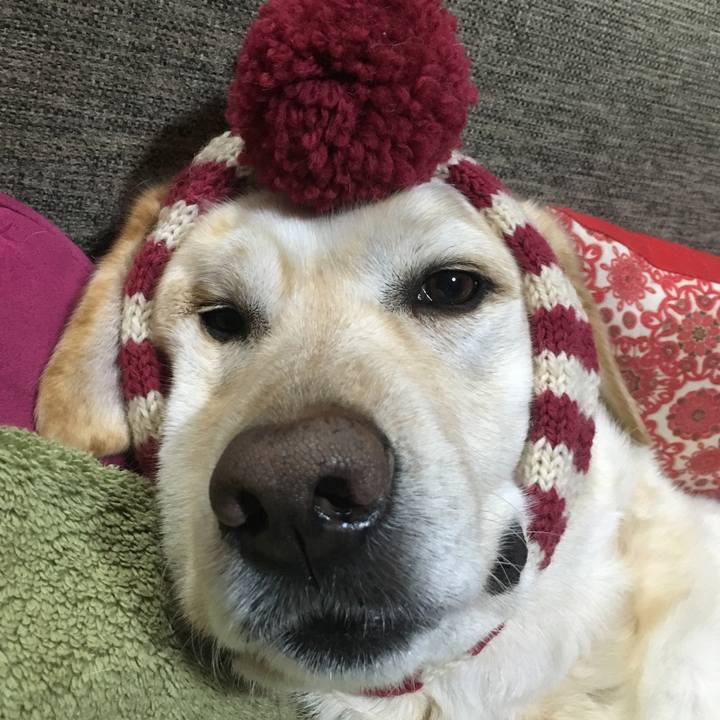 43c06fd8 ed45 4b94 84d4 71c233ff45ee