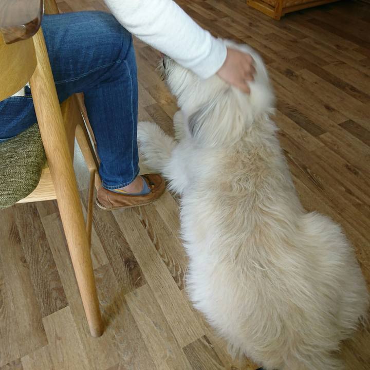 43c085ea 96bd 473f 87c7 0c91d5b7ee2c