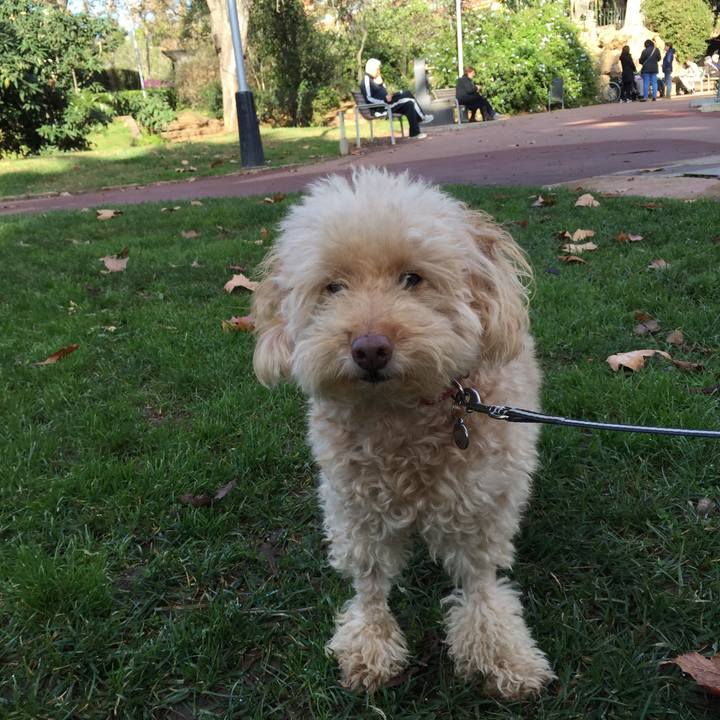 43c08df5 d9b7 4c82 ac8b 45f1175d1e98