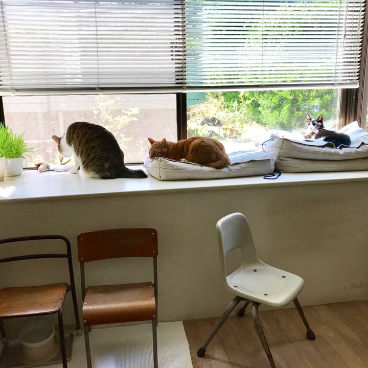 43c0bda5 df92 43b5 a17a 855e5f380f6e