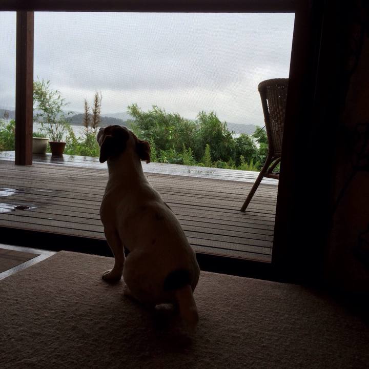 43c14af9 fcc4 493e a272 fdb8ce1094d8