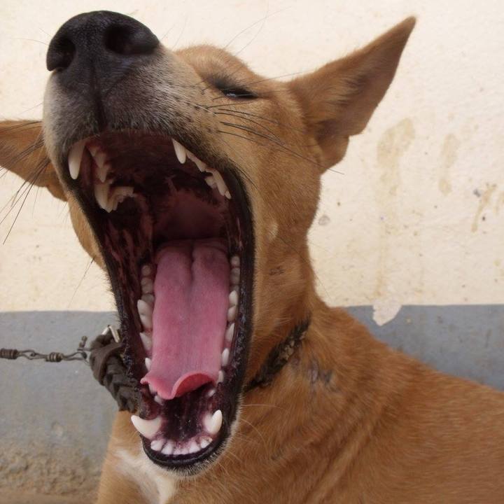 43c15688 0e82 49bc 9083 6ea70acecfc5