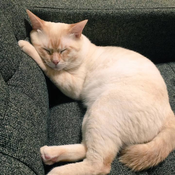 43c27ec0 fdf4 4ab8 b279 8dcfaa0a3c2c