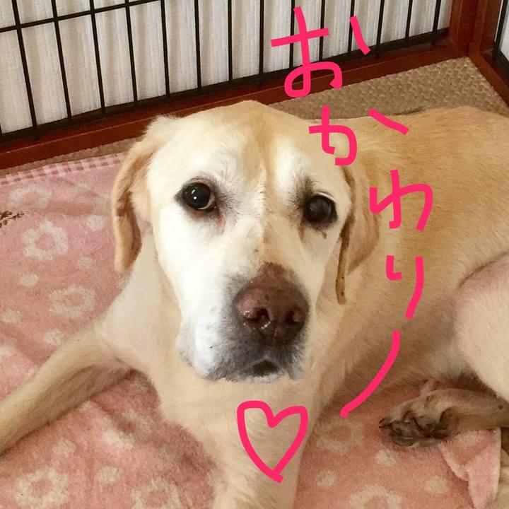 43c2997e e664 44a0 9eb2 e779c89b2ed6