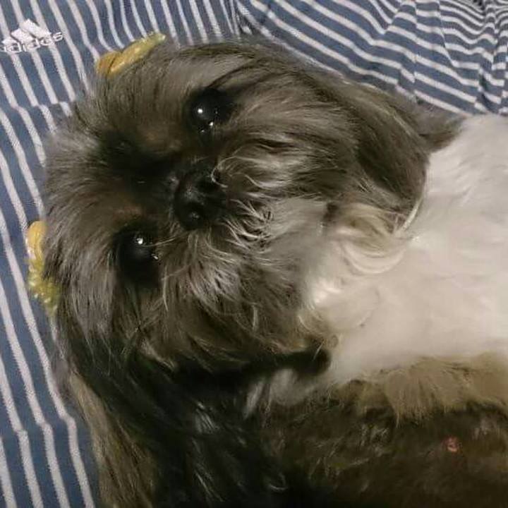 43c2afc0 5cc9 4d5d 84e9 874cbcde436e