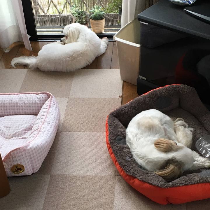 43c3b051 a3f0 4cf1 aac3 84007f8947c9