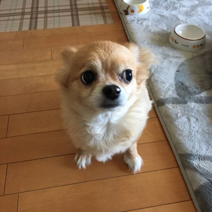 43c3b88f 752a 4179 a12a 2adff53ed4c0