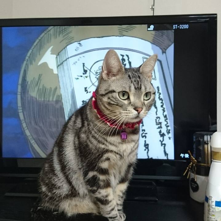 43c42099 3450 498c 81fc 978a788259c6