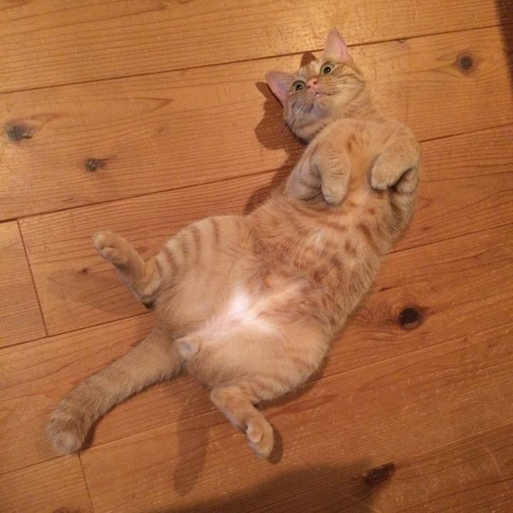 43c4253e 556d 4780 8d0e 4f3296ac7b43