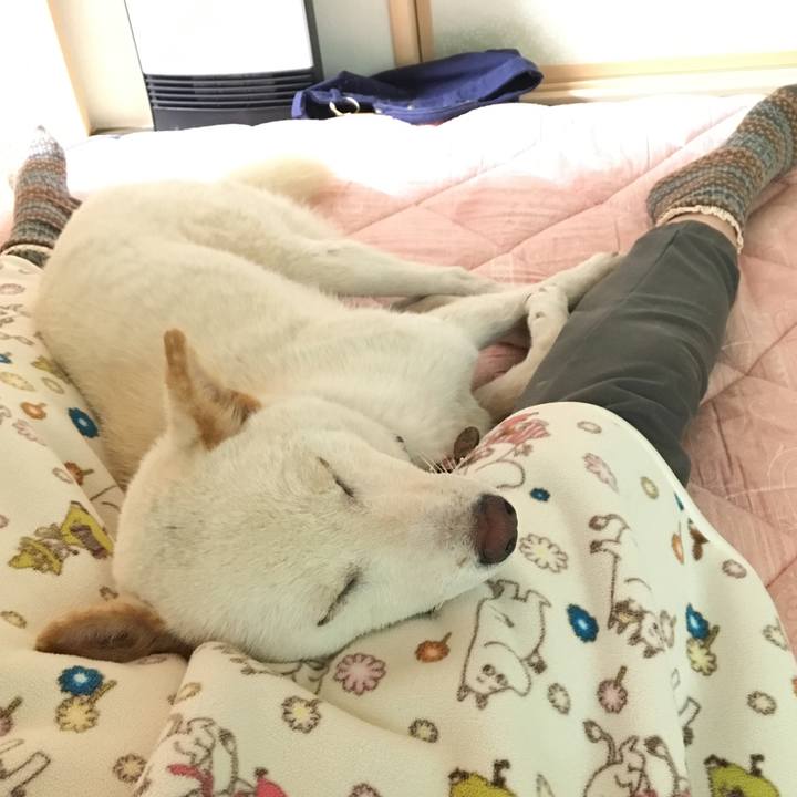 43c46e0d d992 4105 8014 63f8e2e8329d