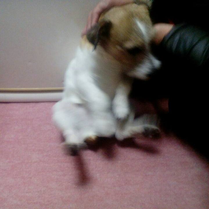 43c4ac1a d2aa 4aaf 8be3 95dbcf5a1f40