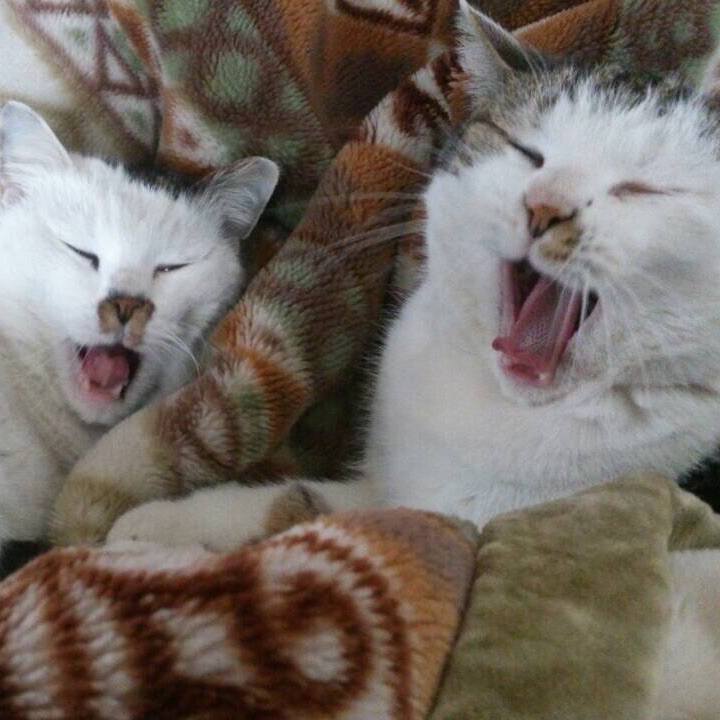 43c4e2ff 7c28 4e34 b23c 6687120a4557