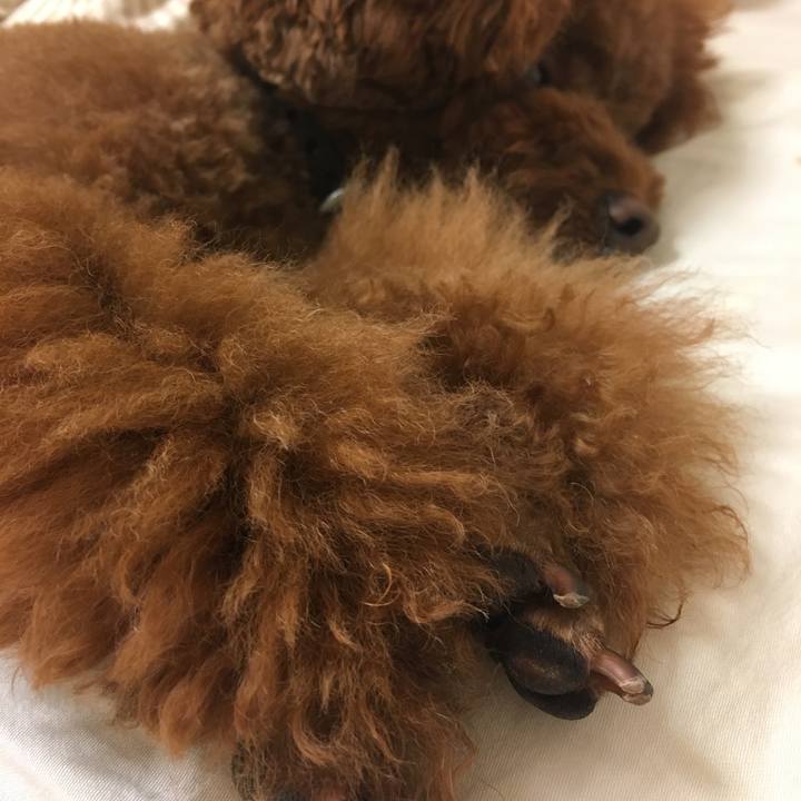 43c5474c 96f5 45ff b525 6ac758c746ee