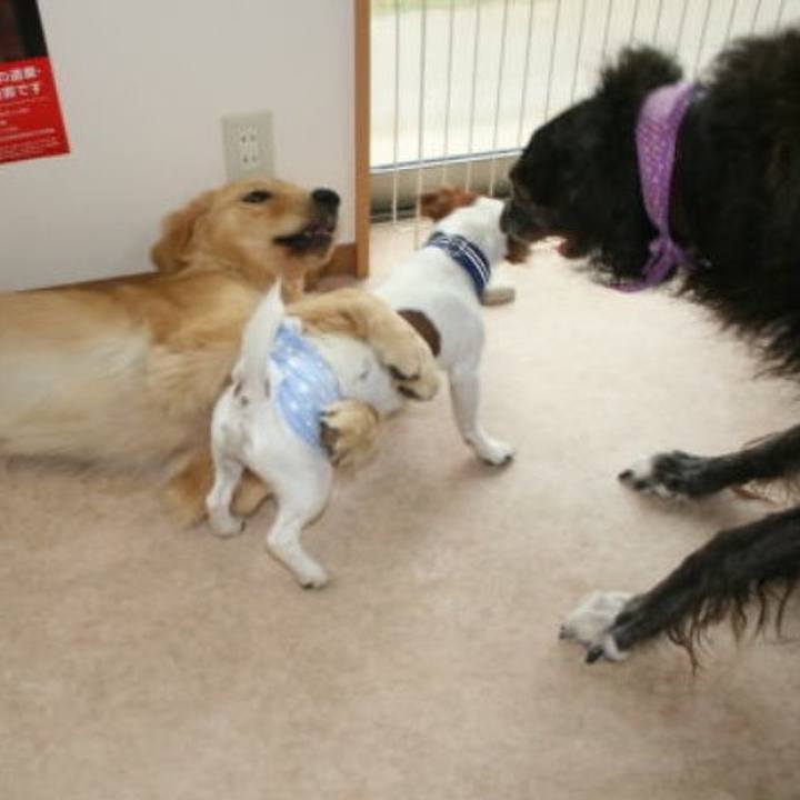 43c54e8a 4bf9 4dd7 aafc 27acc44728ba