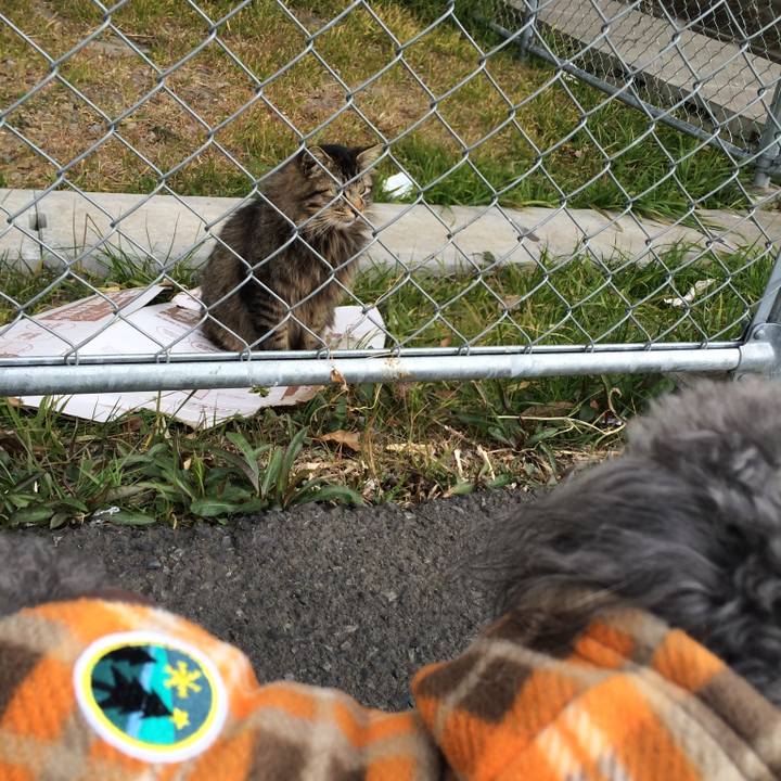 43c55722 5180 40ea 86ac 755f864b0413