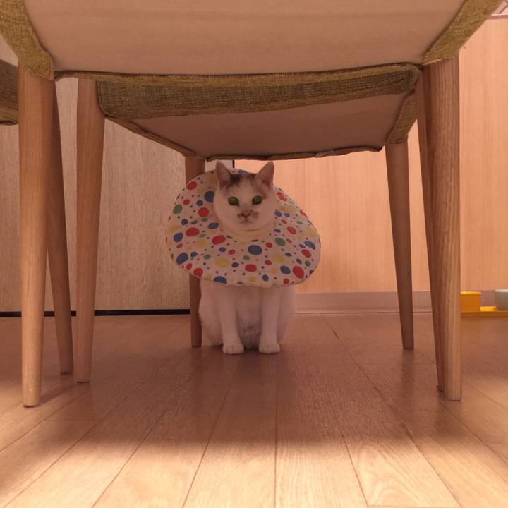 43c5c588 b7d1 489c bdbe 60be44b024ec