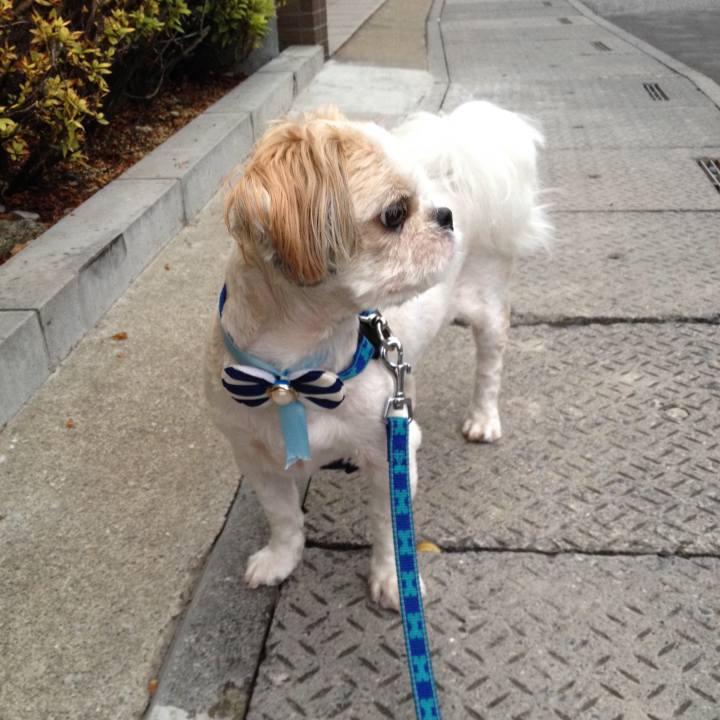 43c61667 ad81 4ad3 8242 7a8825a3bc64