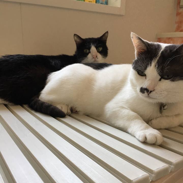 43c65009 9e8e 48d1 99f1 f6aeff937af6