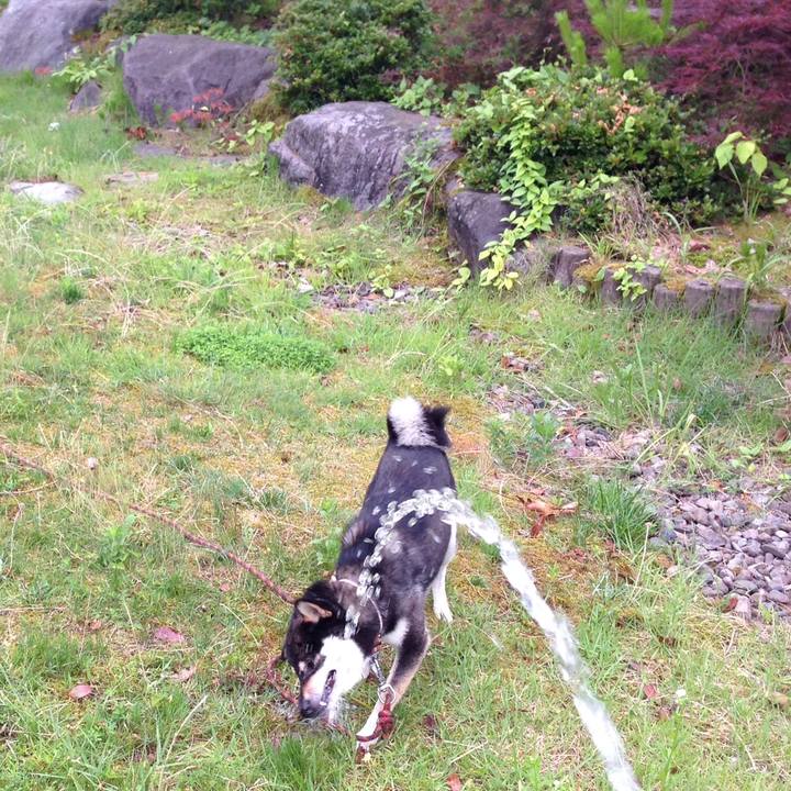 43c745a1 1dd2 46cb 9a9c a30811acb154