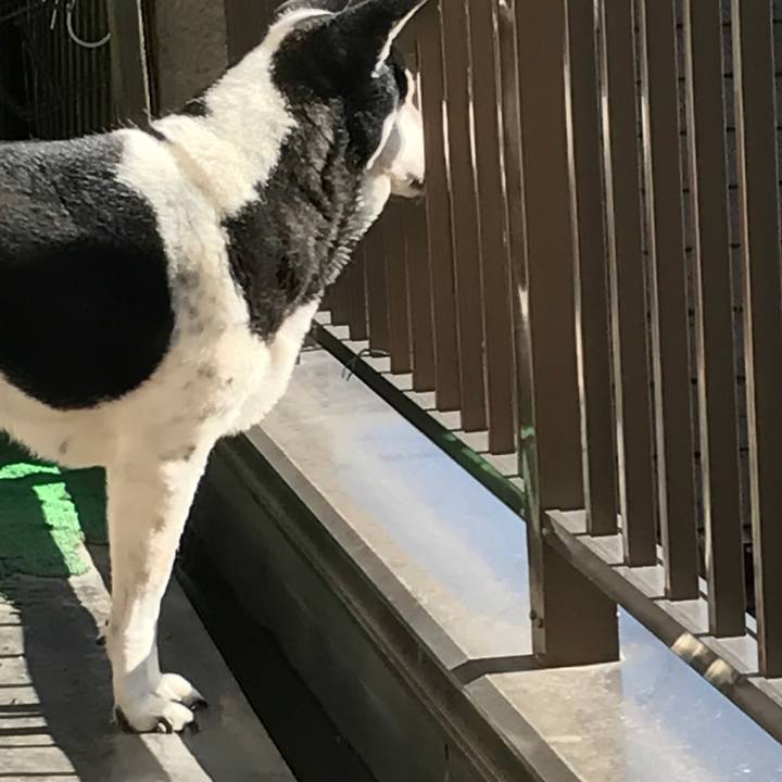 43c7b3b8 0d6b 48e8 a60c 07af58e59e42