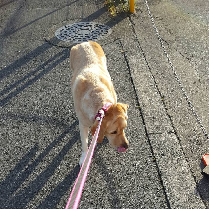 43c7f030 66de 489e a351 837f71c9db05