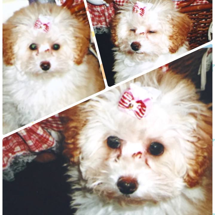 43c9b8aa c145 44f3 a346 7a93298526f0