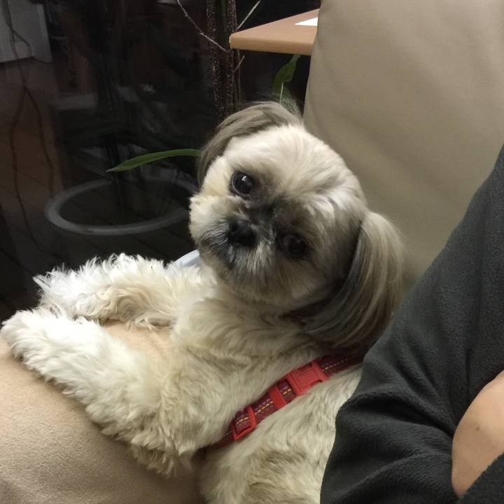 43c9f9fc c1c3 4bcf ad77 bfc4ce6fcda4