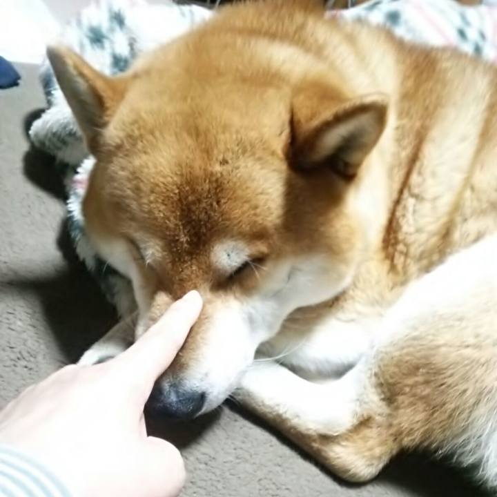 43ca3d7b 5659 40c3 9a14 90ab349cf42c