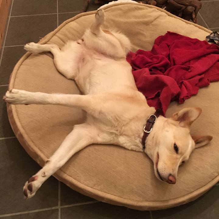 43ca489c 9ecf 4448 840a ac7dc6a3cbfe