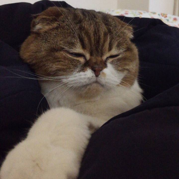 43ca5965 ce2f 4ed0 ae65 4351018d17f5