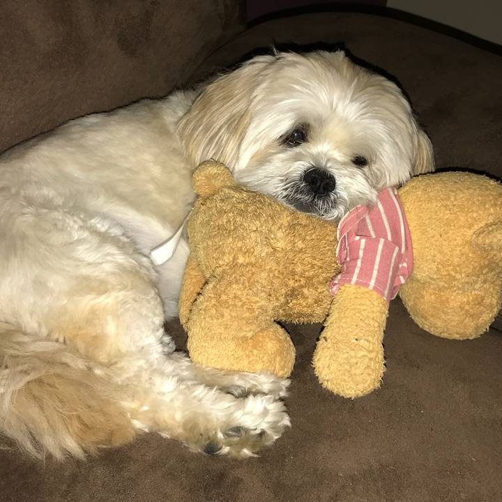 43ca983a dded 4805 8d83 40dcb897b3cc