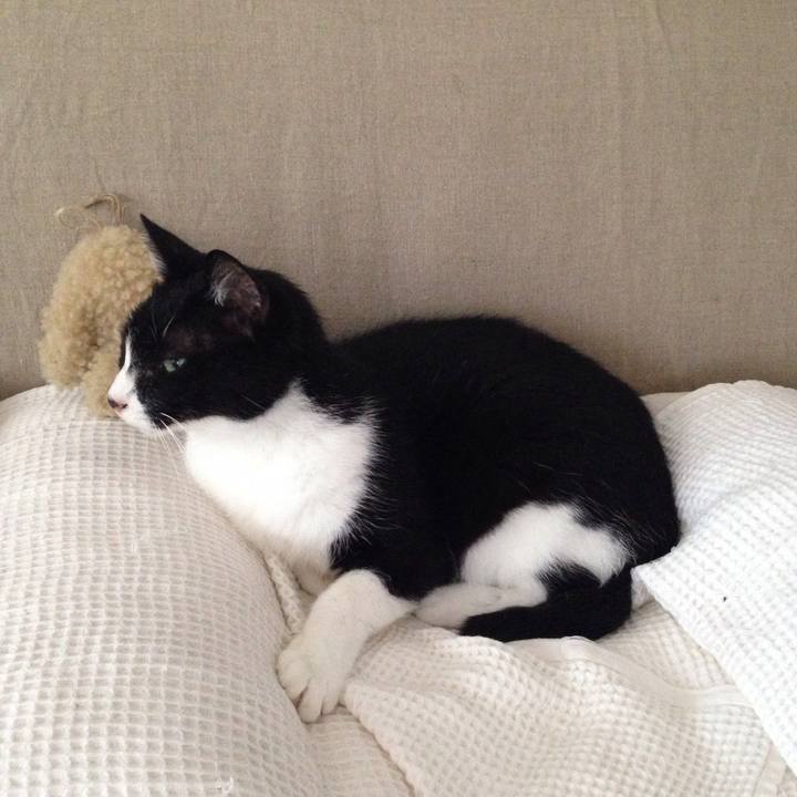 43cad2ea a9e0 4c5e 8d61 f798ba0d8e38