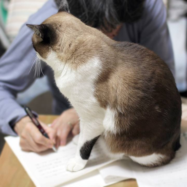 43cb8811 10f2 4fed 97b0 f6bdc97ce167