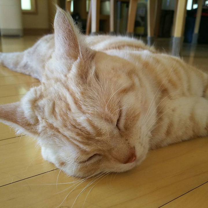 43cc0a42 af43 4ff9 b631 b8991d371627