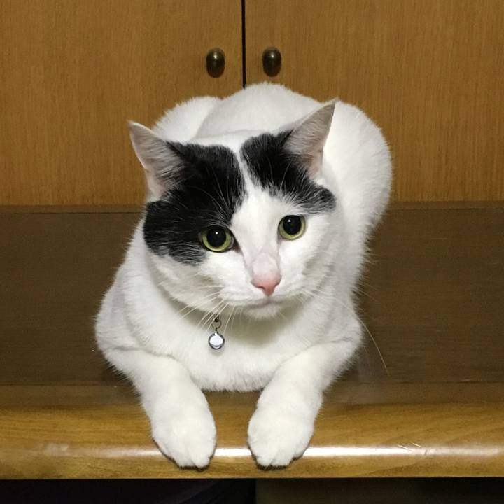 43ccebe1 10e6 420e ae9c a65b079ef50f