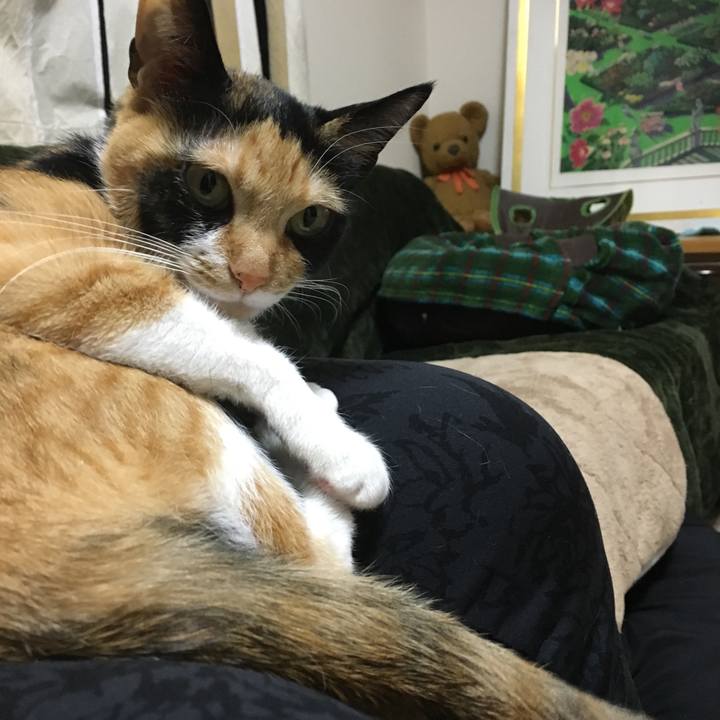 43cd6b21 dc19 4ca1 b473 5ce2f3d62a7a