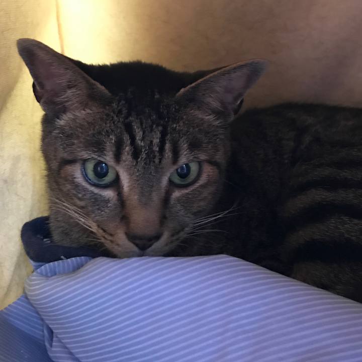 43cd6bd4 1781 400b a073 567c2a66f6ef