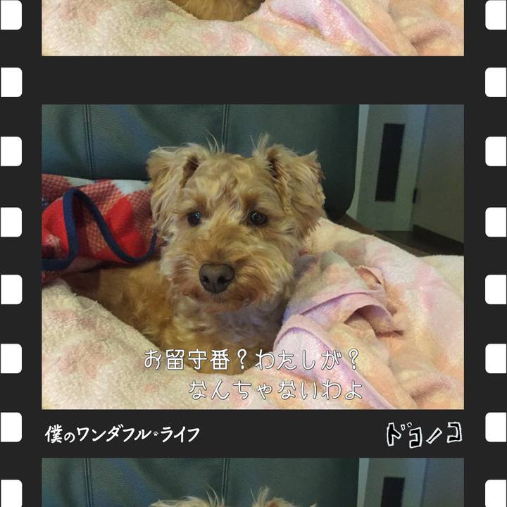 43cdb485 4ba2 432d a9a3 d9b3437aacce