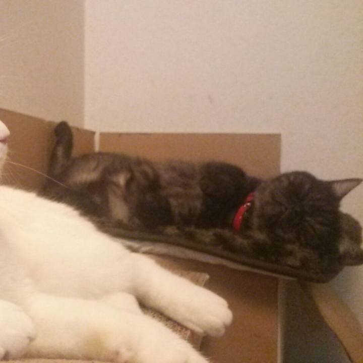 43cdc7b2 7846 4d09 a5ee 96d45006052e