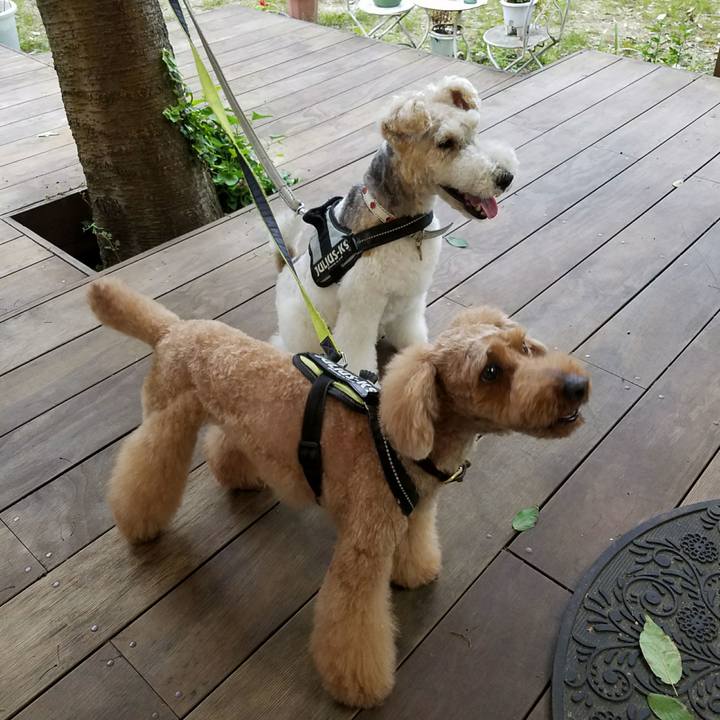 43ce00ca 272a 4adb a52b 169e8567356c