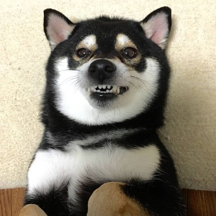 43ce1964 37bc 49fa 9208 944a4d4e12df