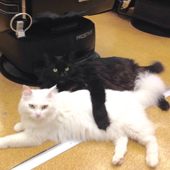 43ce9a0b 8e99 4426 bb7a f52f10f81298